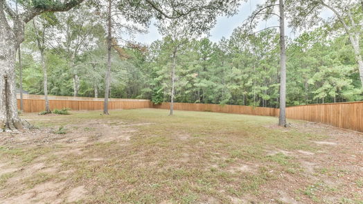 New Waverly 1-story, 4-bed 173 Temple Lane-idx