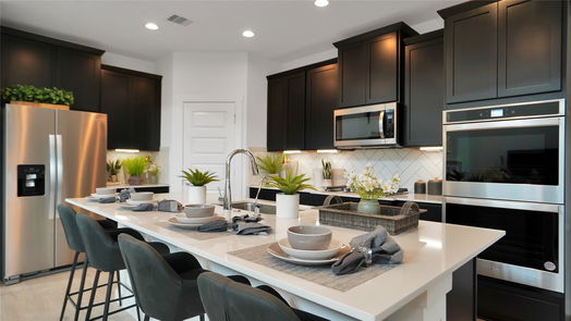 Richmond 2-story, 4-bed 2310 Bitter Melon Drive-idx