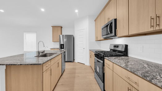 Richmond 1-story, 4-bed 8031 Veneto Green Drive-idx