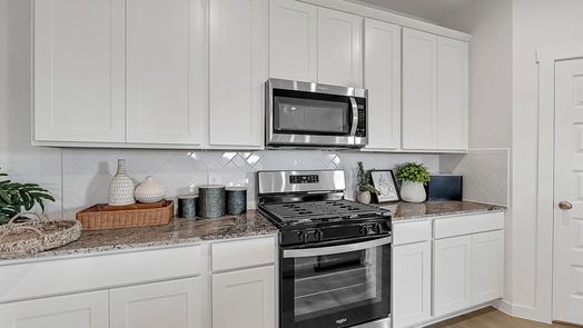 Richmond 1-story, 4-bed 8027 Veneto Green Drive-idx