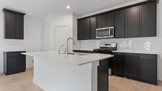 Richmond 1-story, 4-bed 1519 Merulana Ln-idx