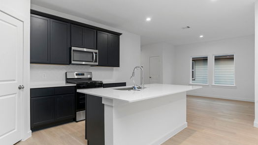Richmond 2-story, 4-bed 1539 Merulana Ln-idx