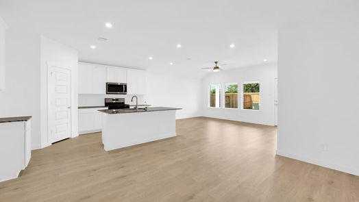 Rosenberg null-story, 4-bed 6124 Artwood Falls Drive-idx