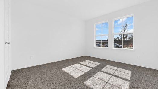 Rosenberg 1-story, 4-bed 3024 Magnolia Blossom Lane-idx