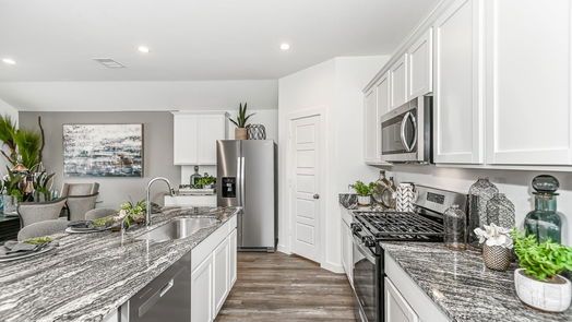 Rosharon 1-story, 4-bed 1010 Sycamore Drive-idx