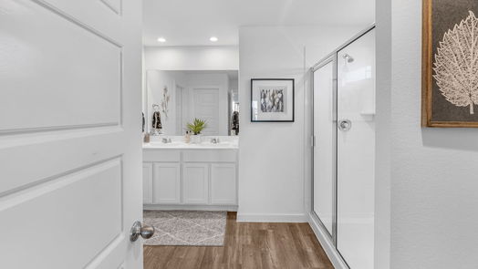 Rosharon 1-story, 4-bed 1010 Star Grass Lane-idx