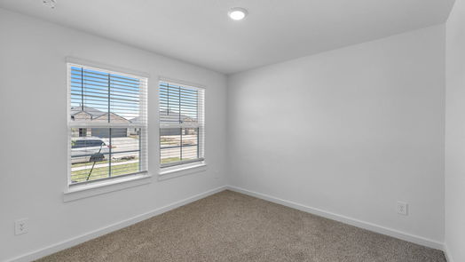 Rosharon 1-story, 4-bed 8910 Century Plant Lane-idx