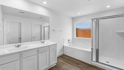 Rosharon 1-story, 4-bed 8910 Century Plant Lane-idx