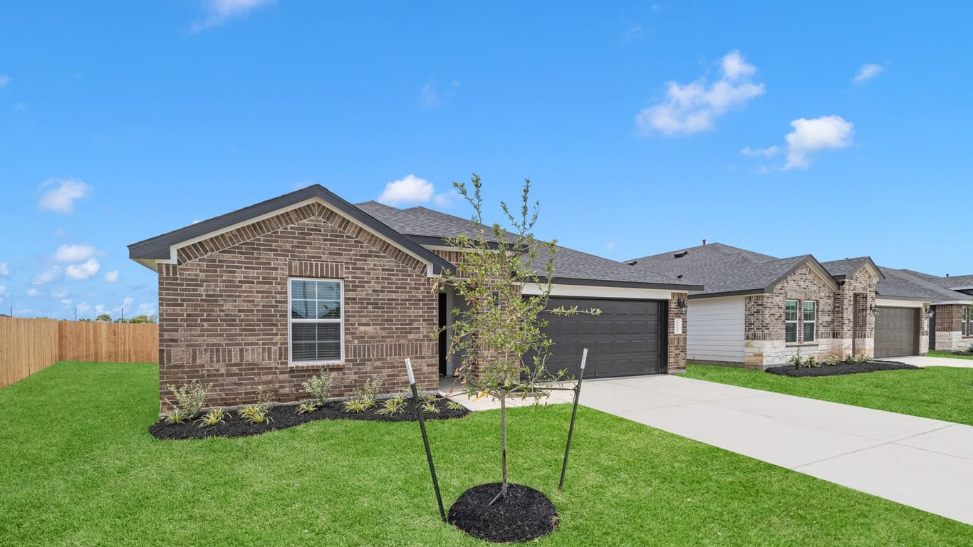 Rosharon 1-story, 4-bed 1011 Fringed Bluestar Drive-idx