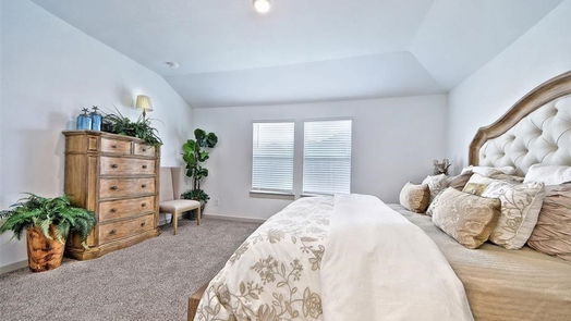 Sealy 1-story, 4-bed 1243 Waterside Trace-idx