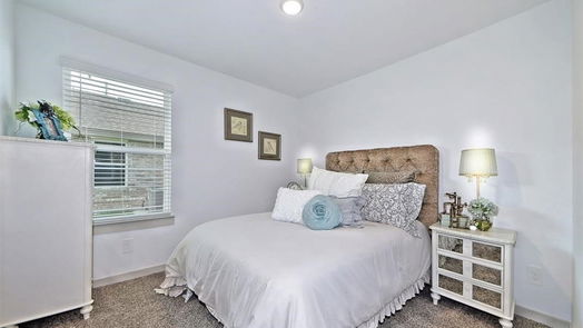 Sealy 1-story, 4-bed 1243 Waterside Trace-idx