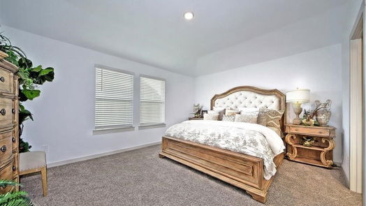 Sealy 1-story, 4-bed 1243 Waterside Trace-idx