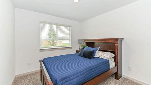 Sealy 1-story, 3-bed 1310 Bison View Lane-idx