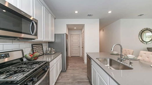 Sealy 1-story, 3-bed 1310 Bison View Lane-idx