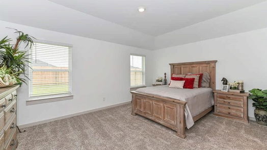 Sealy 1-story, 3-bed 1310 Bison View Lane-idx