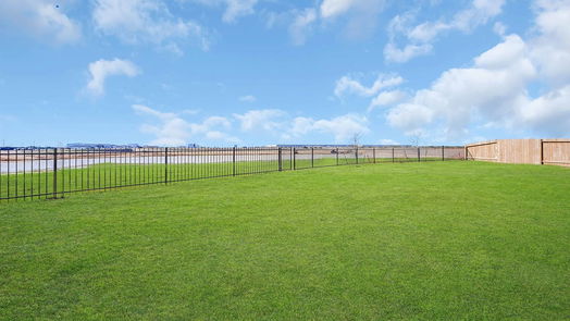 Sealy 1-story, 3-bed 1322 Bison View Lane-idx
