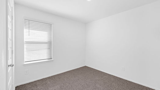 Sealy 1-story, 3-bed 1322 Bison View Lane-idx