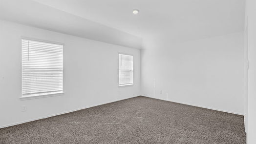 Sealy 1-story, 3-bed 1322 Bison View Lane-idx