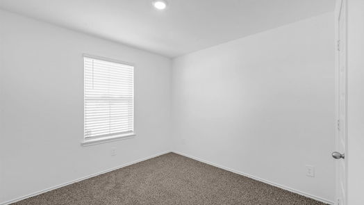 Sealy 1-story, 3-bed 1322 Bison View Lane-idx