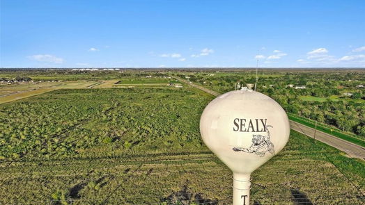 Sealy 1-story, 3-bed 1322 Bison View Lane-idx