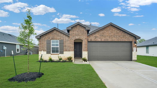 Sealy 1-story, 4-bed 1320 Bison View Lane-idx