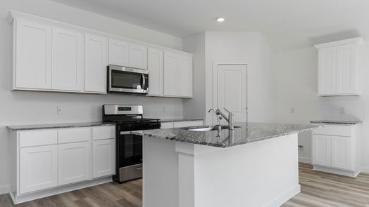Texas City 1-story, 4-bed 3018 Scarlet Ibis Drive-idx