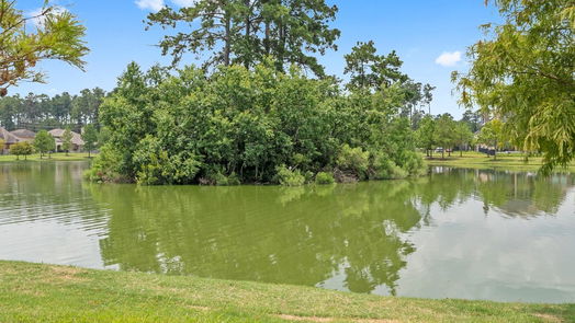 Tomball null-story, 4-bed 10003 Calm Stream Walk Lane-idx