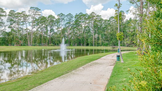 Conroe 1-story, 3-bed 208 Bee Balm Court-idx