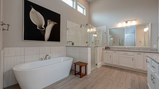 Conroe 1-story, 3-bed 208 Bee Balm Court-idx