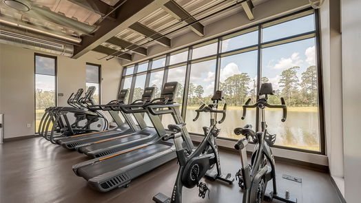 Conroe 1-story, 3-bed 208 Bee Balm Court-idx