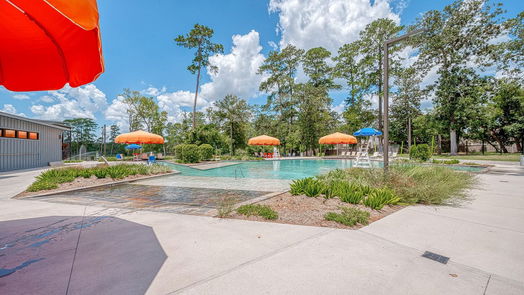 Conroe 1-story, 3-bed 208 Bee Balm Court-idx