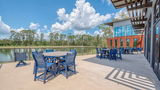 Conroe 1-story, 3-bed 208 Bee Balm Court-idx