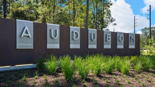 Magnolia null-story, 4-bed 175 Shoveler Duck Way-idx