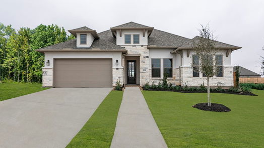 Manvel 1-story, 4-bed 8715 Blue Grotto Lane-idx