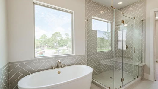Houston 3-story, 3-bed 14009 Memorial Reserve Place-idx