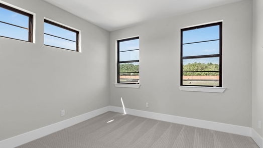 Houston 2-story, 5-bed 3228 Royal Oaks Hollow Lane-idx