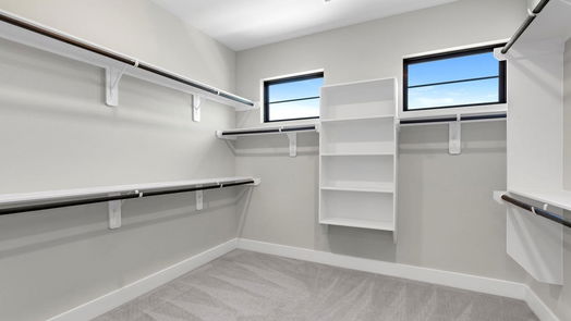 Houston 2-story, 5-bed 3228 Royal Oaks Hollow Lane-idx