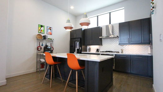 Houston 4-story, 3-bed 1105 Paige Street-idx