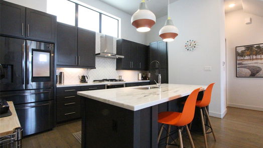 Houston 4-story, 3-bed 1105 Paige Street-idx