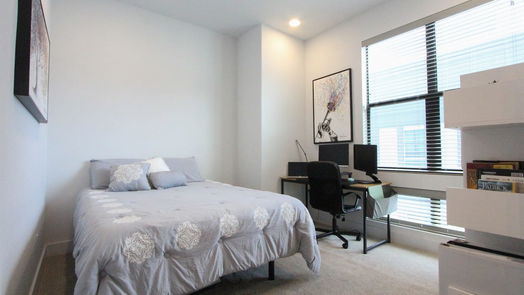 Houston 4-story, 3-bed 1105 Paige Street-idx