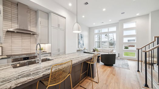 Houston 4-story, 3-bed 2115 Emancipation Avenue-idx