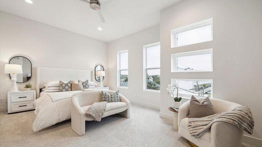 Houston 4-story, 3-bed 2115 Emancipation Avenue-idx