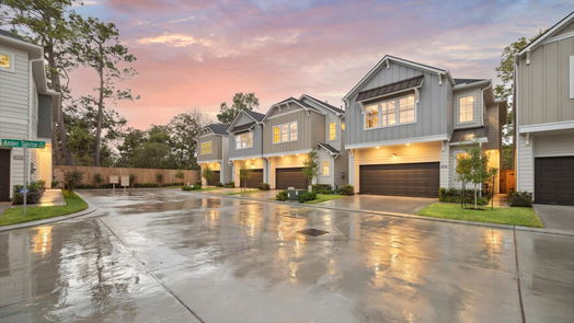 Houston 2-story, 3-bed 808 Glowing Dawn Drive-idx