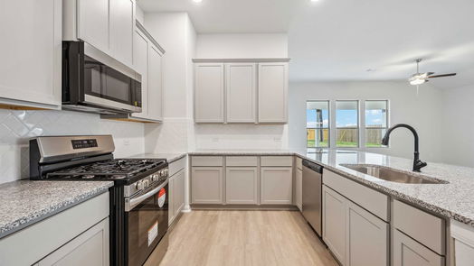 Sealy 1-story, 4-bed 700 Mourning Dove Drive-idx