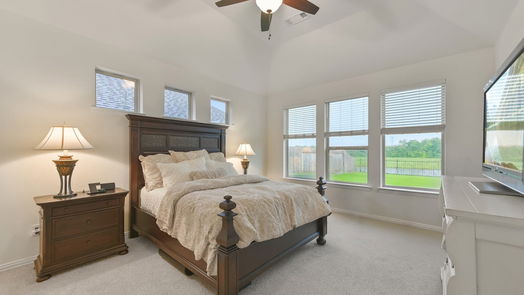 League City 2-story, 4-bed 3074 Camden Park Lane-idx