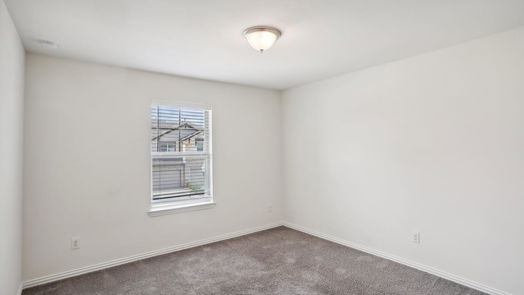 Pearland 2-story, 4-bed 7117 Fannin Street-idx