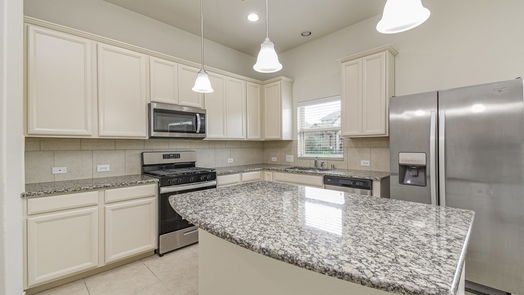 Tomball 1-story, 3-bed 22303 Larch Grove Court-idx