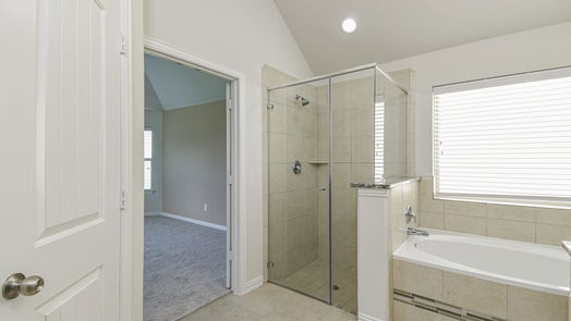 Tomball 1-story, 3-bed 22303 Larch Grove Court-idx