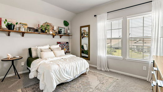 Conroe 2-story, 4-bed 2366 Hagerman Road-idx
