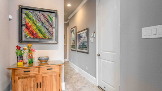 Houston 4-story, 4-bed 2119 Taft Street-idx